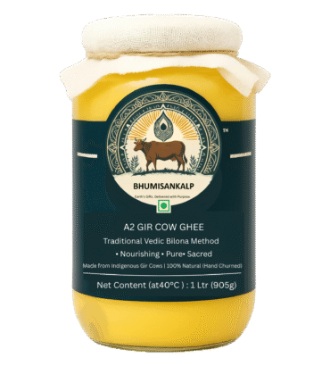 A2 Gir Cow ghee from Vedic Bilona Method, Grass-fed, Pure and Healthy Desi Gir Cow Ghee (Glass Bottle - 500 ML / 1000 ML)